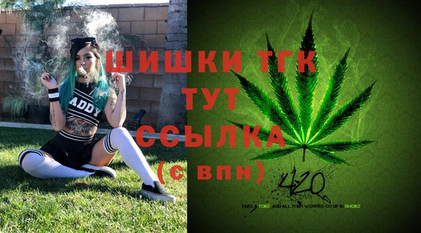 дурь Михайлов