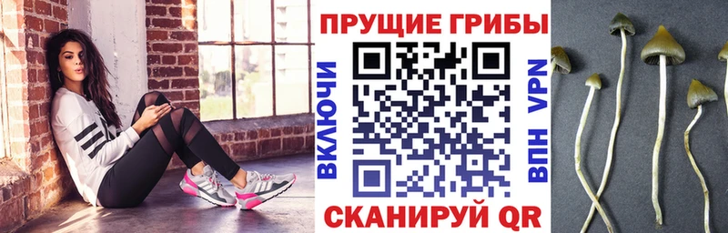 ссылка на мегу ССЫЛКА  Устюжна  Галлюциногенные грибы ЛСД 